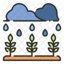 Regenpflanze Regen Pflanze Icon