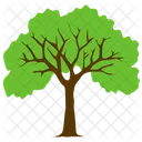 Bergahorn Baum Laub Symbol