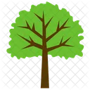 Bergahorn Baum Laub Symbol