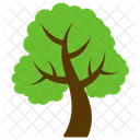 Bergahorn Baum Laub Symbol