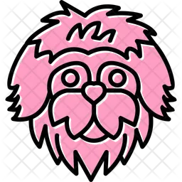 Bergamasco  Icon