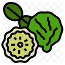 Bergamot Herb Icon