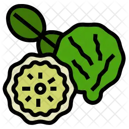 Bergamot  Icon