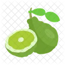 Bergamot Fruit Diet Icon