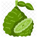 Bergamot  Icon