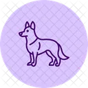 Berger Allemand Berger Allemand Chien Icône