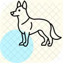 Berger Allemand Berger Allemand Chien Icône