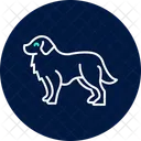 Berner Sennenhund  Symbol