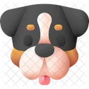 Bernese Mountain Pet Dog Icon