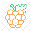 Berries  Icon