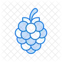 Berries  Icon