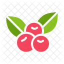 Berries Cherries Berry Icon