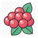 Berries Grapes Fruit Icon