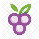 Berries Fruit Healthy Icône