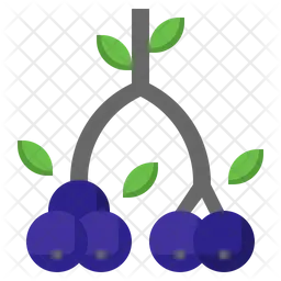 Berries  Icon