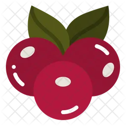 Berries  Icon