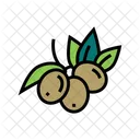 Berries Cultivation Organic Icon