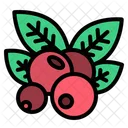 Berries  Icon