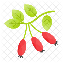 Berries  Icon