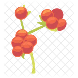 Berries  Icon