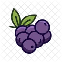 Berries  Icon