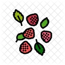 Berries Raspberry Fruit Icon