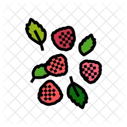 Berries  Icon