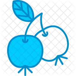 Berries  Icon