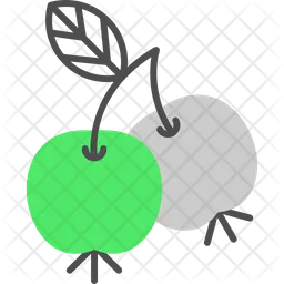 Berries  Icon