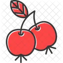 Berries  Icon