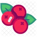 Berries Berry Berry Fruit Icon