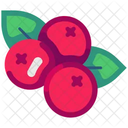 Berries  Icon