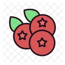 Berries Bilberry Blueberries Icon