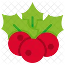 Berries Holly Fruit Icon