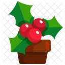 Berries Christmas Xmas Icon