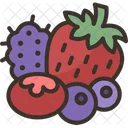 Berries Fruit Vitamin Icon