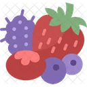 Berries Fruit Vitamin Icon