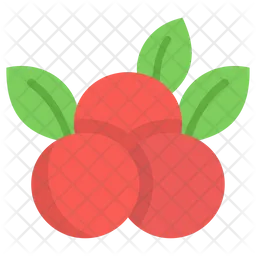 Berries  Icon