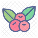 Cherries Berry Cherry Icon