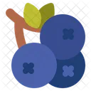 Berries Berry Grapes Icon