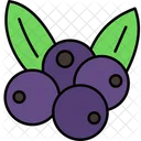 Berries Fruit Berry Icon