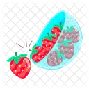 Berries Bowl Icon