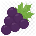 Beautyberry American Fruit Icon