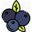 Berries Food Healthy Icon