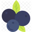 Berries  Icon