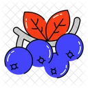 Berries  Icon