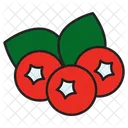 Berries  Icon