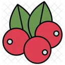 Berries Fruit Food Icon