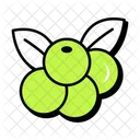 Berries  Icon