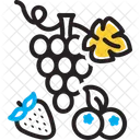 Berries  Icon